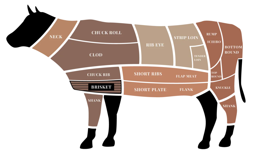 parts_brisket