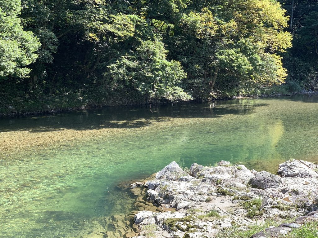 Clear, emerald-green river flowing past a rocky bank, with a forested hillside and the first yellow leaves of autumn on the far shore.
