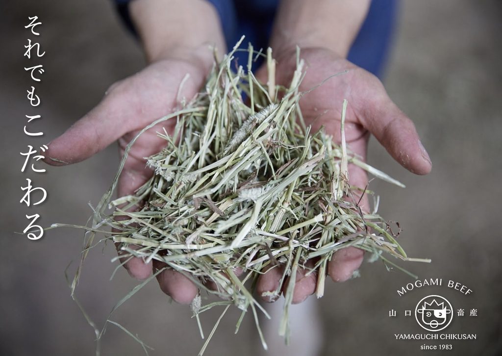 Two hands holding a handful of dried hay, with Japanese text on the left and the Mogami Beef Yamaguchi Chikusan logo (since 1983) in the corner.